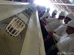 Ini Lho Wujud Serat Optik Buat Internetan