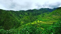 Whang tinggal di Desa pegunungan Buscalan, yang merupakan rumah bagi sekitar 200 keluarga. Dikelilingi oleh sawah dan lanskap perbukitan, lokasi desa ini ada di Provinsi Kalinga dan berjarak sekitar 15 jam perjalanan ke arah utara dari ibu kota Manila (Dok. bratchic_luckie/Instagram)