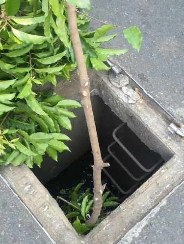 Lubang gorong-gorong yang tutupnya hilang