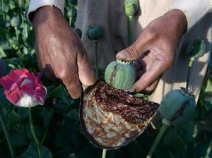 Negara Tanpa Bandara, Militer dan Utang sedang Berduka Hingga Ladang Opium Taliban
