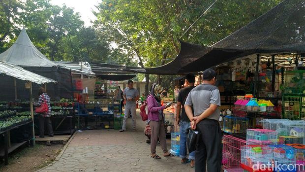 Pameran Flona 2017.