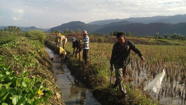Tak Cuma Seberangkan Warga Pakai Tali, Serka Darwis Juga Turun ke Sawah