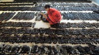 Sebelum dicukur, para wanita nantinya diminta menggikat atau menjalin rambut mereka. Setelah dicukur rambut dikumpulkan dan disusun (Arun Sankar/AFP)
