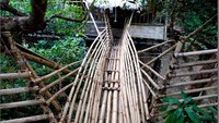 Bahkan fasilitas publik seperti jembatan pun terbuat dari bahan alami. Contohnya jembatan bambu yang satu ini, selain itu juga ada jembatan akar (northeasttourism.gov.in)