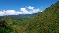 Suasana asri di sekitar Desa Buscalan. Sudah ribuan turis datang ke Whang Od untuk dilukis tubuhnya. Kira-kira, Whang Od kini sudah berumur 100 tahun dan telah melakukan seni kuno tato ini sejak berusia 15 tahun. Rahasia panjang umurnya, ia tidak makan makanan kaleng, makanan dengan minyak, juga makanan berpengawet. Dia hanya makan makanan organik seperti sayuran dan kacang (Dok. yernightowl/Instagram)