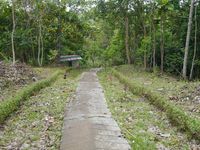 Cerita Patung Bunda Maria di Balik Air Terjun Sanggau
