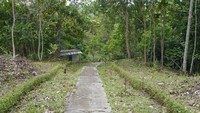 Inilah jalan setapak yang akan traveler lewati sebelum bertemu tangga dan air terjun (Kurnia/detikTravel)