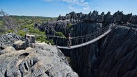 Nama Tsingy sendiri diberikan dalam bahasa Madagaskar yang memiliki arti Tempat yang tidak dapat dijangkau oleh siapa pun. Yang membuatnya bergidik adalah jalur menuju taman ini. Bayangkan kamu berdiri di antara tebing-tebing batu yang bergerigi tajam dan curam (Dave Stamboulis/BBC)
