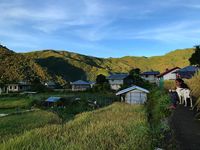 Cerita Kengerian dan Kecantikan Tato Tradisional Filipina