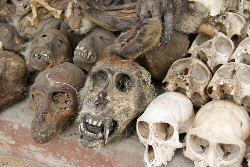 The Akodessawa Fetish Market or Marche des Feticheurs is located in Lomé, the capital of Togo in West Africa. The market is largest voodoo market in the world.