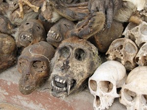5 Pasar Unik di Dunia, Beli Istri Sampai Daging Ekstrem