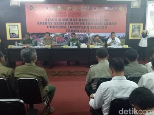170 Hektare Lahan Terbakar, Pemprov Sumsel Minta Satgas Bersinergi