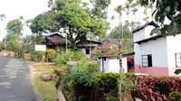 Rumah-rumah di sana pun sederhana, dengan bahan utamanya hanya bambu. Maka dari itu desa ini terlihat sangat asri dan alami (India.com)