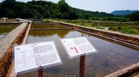 Salah satu puncak pencapaian Collin pun terjadi di tahun 2015. Di mana bekas tambak garam yang ada di Yim Tin Tsai berhasil direvitalisasi dan mendapat pengakuan oleh UNESCO (Kate Springer/BBC Travel)