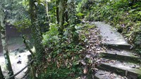 Dari parkiran traveler bisa menuju ke air terjun dengan menuruni tangga. Cukup banyak anak tangga di sana, selain itu juga harus hati-hati tangga agak licin jika habis hujan (Kurnia/detikTravel)