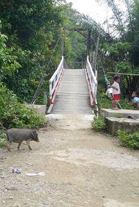 Melewati jembatan gantung (Kurnia/detikTravel)