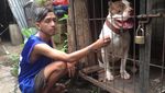 Foto: Aneka Kejadian Heboh Indonesia, Foto ke-14 Bikin Iri