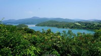 Memiliki nama asli Yim Tin Tsai, dahulu pulau yang berjarak sekitar 25 Km dari pusat Hong Kong itu menjadi rumah dari komunitas Hakka yang bermigrasi dari China (Kate Springer/BBC Travel)