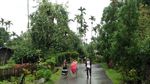 Foto: Desa Terbersih di Asia