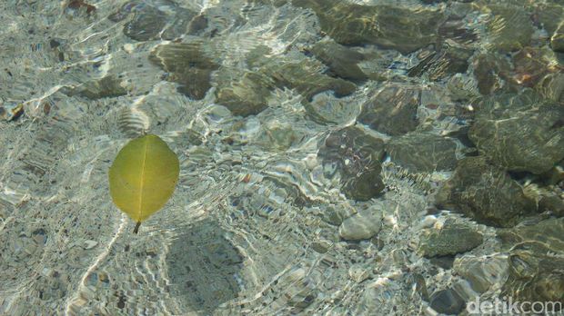 Air membuat seseorang lebih tenang (Randy/detikTravel)