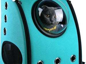 Tren Traveling Baru, Bawa Peliharaan di Dalam Tas