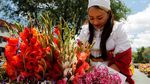 Melihat Warna-warni Festival Bunga di Kolombia