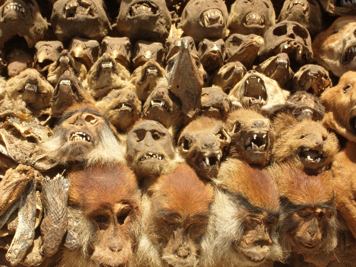 The Akodessawa Fetish Market or Marche des Feticheurs is located in Lomé, the capital of Togo in West Africa. The market is largest voodoo market in the world.
