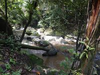 Cerita Patung Bunda Maria di Balik Air Terjun Sanggau