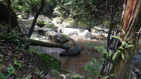 Tak hanya Air terjun, gua serta patung Bunda Maria, traveler juga bisa menikmati keindaha sungai yang mengalir di sana. Sungai pun tampak bersih (Kurnia/detikTravel)