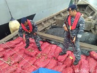 Ada Bawang Merah Palsu Masuk RI, Seperti Apa Sih?
