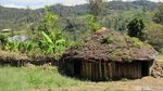 Foto: Kehidupan di Pedalaman Papua