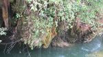 Foto: Sungai Es Tak Tersentuh di Papua