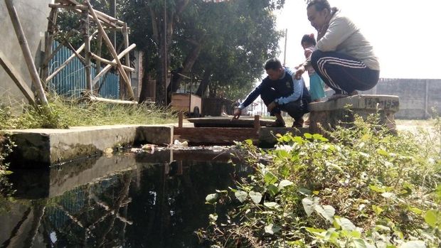 Ratusan Hektar Sawah Terancam Pencemaran Sungai Pecangaan Jepara