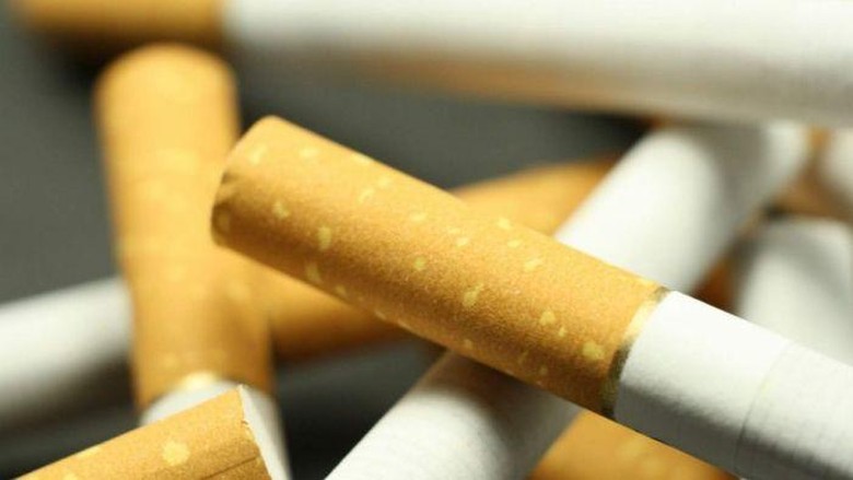 Polisi di Sydney Sita 6 Juta Batang Rokok Selundupan Polisi di Sydney Sita 6 Juta Batang Rokok Selundupan