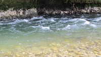 Sungai es, begitu sebutan suku Moni yang mendiami Desa Ugimba pada Sungai Kemabu. Airnya memang sangat dingin, sungguh! (Afif Farhan/detikTravel)