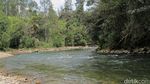 Foto: Sungai Es Tak Tersentuh di Papua