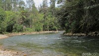 Sungai Kemabu berada di Desa Ugimba, Kabupaten Intan Jaya. Sungai ini mengalir langsung dari Pegunungan Jayawijaya yang punya ketinggian di atas 4.000 mdpl (Afif Farhan/detikTravel)