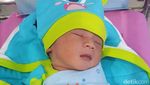 Lucunya Baby Al, Anak ke-7 Kiwil dari Rahim Istri Muda