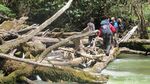 Foto: Sungai Es Tak Tersentuh di Papua