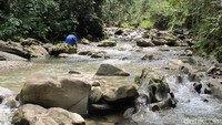 Sungai Kemabu menjadi sumber utama untuk perairan dan kebutuhan sehari-hari suku Moni di Desa Ugimba. Kebersihannya sangat terjaga (Afif Farhan/detikTravel)