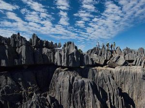 BUMN RI Keroyokan Investasi Rp 4,9 Triliun di Madagaskar