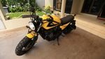 Suzuki GSX1100G ala Scrambler Bumblebee