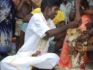Waduh, Ada Ritual Manusia Menikahi Anjing di India