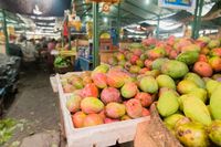 Ini Jenis Mangga yang Cocok untuk Diolah Jadi Dessert Ini Jenis Mangga yang Cocok untuk Diolah Jadi Dessert