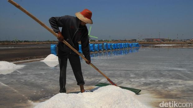 Petambak Garam Pasuruan Kejar Target Produksi/