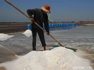 Lahan 225 Ha di Kupang untuk Produksi Garam Industri