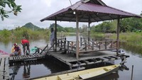 Pengembangan danau ini pun telah diajukan ke pemerintah setempat. Warga Sekayam juga bersemangat mengembangkan danau ini menjadi destinasi wisata yang bagus dan nyaman buat turis (Kurnia/detikTravel)