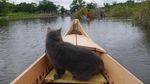 Danau Peninggalan Seorang Pangeran di Kalimantan
