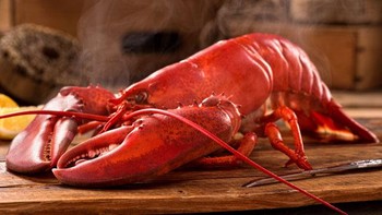 Lobster. (Foto: Internet, data: Uber)