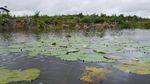 Danau Peninggalan Seorang Pangeran di Kalimantan